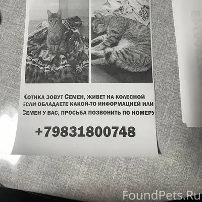 Здравствуйте все. Нужна помощь...