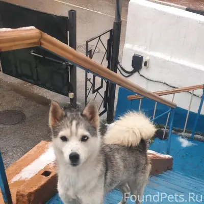 Уважаемые друзья! Уже нескольк...