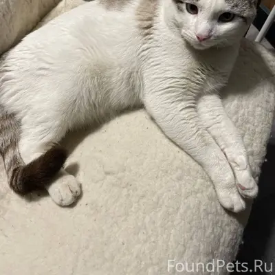 Ворошиловский район! Пропал КО...