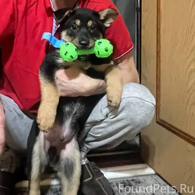 ❗️❗️❗️ПОИСК ПРОДОЛЖАЕТСЯ❗️❗️❗️...