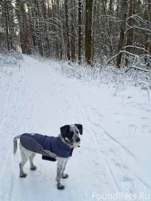 Вчера 13.01 в 22:00...