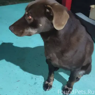 Добрый день, в районе Героевки...