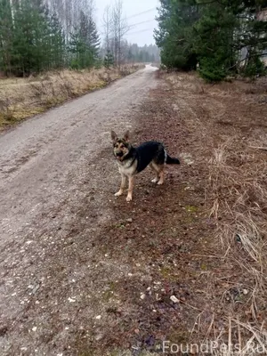 Всем здравствуйте! С СНТ строи...