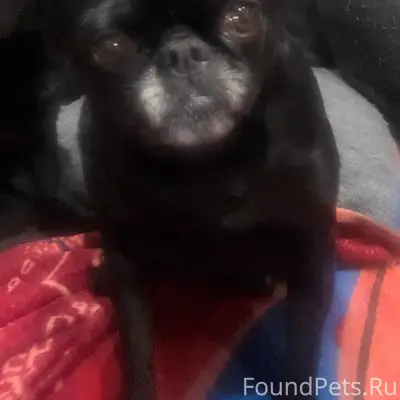 Сегодня в районе 11 часов в...