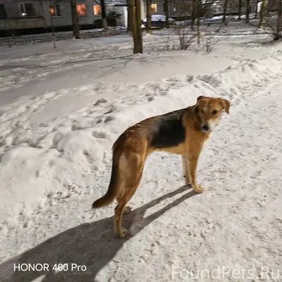 Кто потерял? Очень добрый, кон...