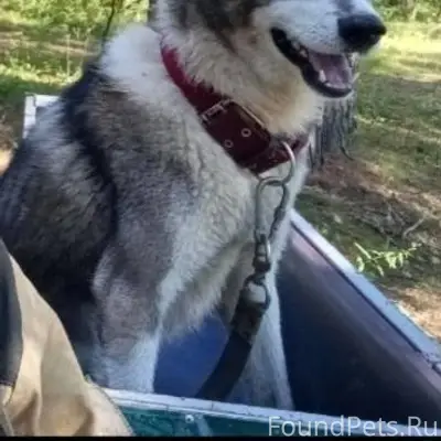 Добрый вечер уважаемые жители ...