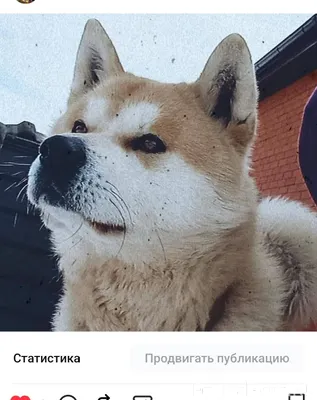 ⁉️⁉️⁉️⁉️⁉️⁉️⁉️⁉️⁉️⁉️⁉️ 14 янва...