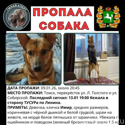 ❗ВНИМАНИЕ! ВЕДЕТСЯ ПОИСК! Вчер...