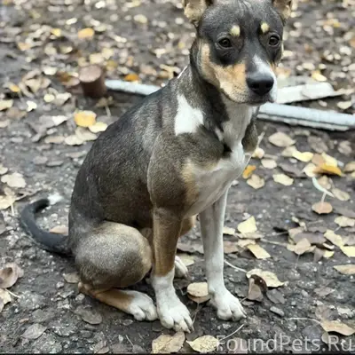🔥🔥🔥 Волгоград, Дзержинский и д...