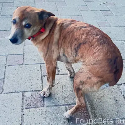 Сегодня утром в 7:50 14...