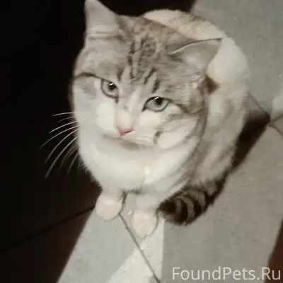 В конце декабря в районе 9...