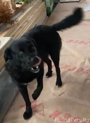 🆘❗️❗️❗️Вчера вечером пропала с...