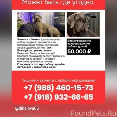 Розыск!!! По всем городам !!! ...