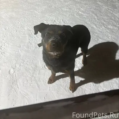 На мёртвом посёлке возле магаз...