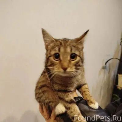 Обнинск Сегодня днем около Фор...