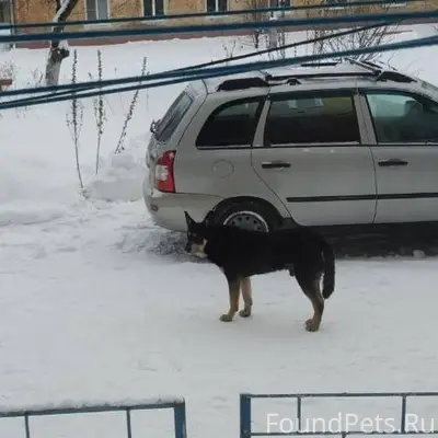 В военном городке, между домам...