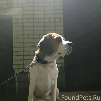 Вечер добрый. Сегодня днём пот...