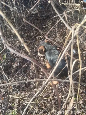 💥💥💥 Коротко о главном ‼️ У...