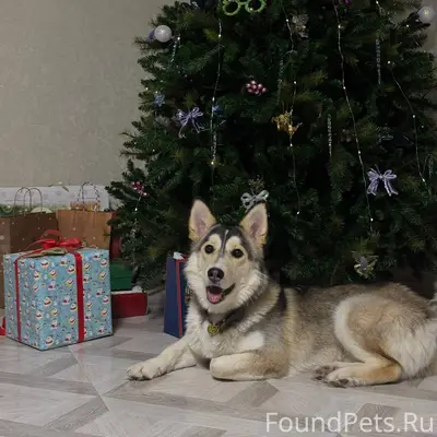 На Азина в районе корта 15...