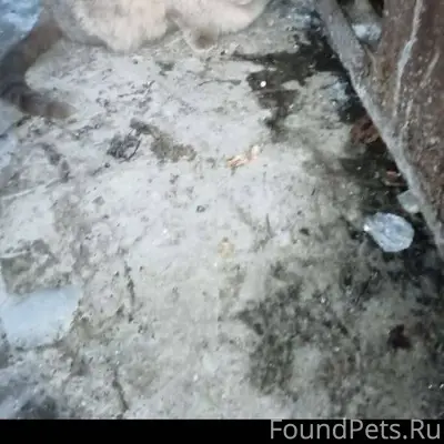 #находки@balahnalive В ждо на ...