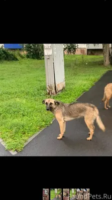 На выходных днях работал отлов...