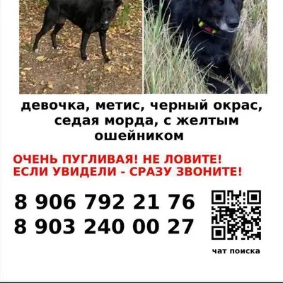 Оставляю для информации и шабл...