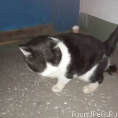 Поселок Солидарность,улица Лес...