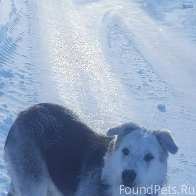 Искитим! 31.12 26 прибилась и....