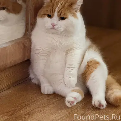 В г. Ангарск 8 января был...