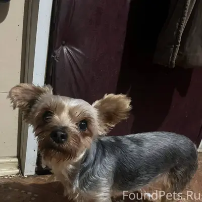 Грязи! Улица Набережная! У ког...