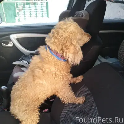 🆘️🆘️🆘️🆘️🆘️🆘️🆘️🆘️🆘️🆘️🆘️🆘️Кто по...