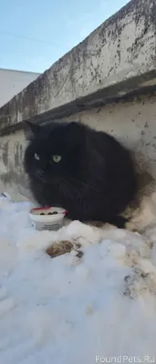 Псков.Здравствуйте! Кто может ...