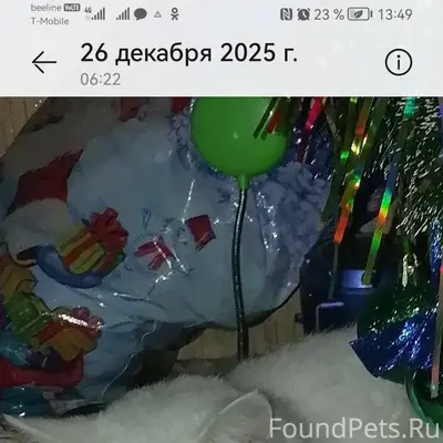 Здравствуйте, в районе 6 этажк...