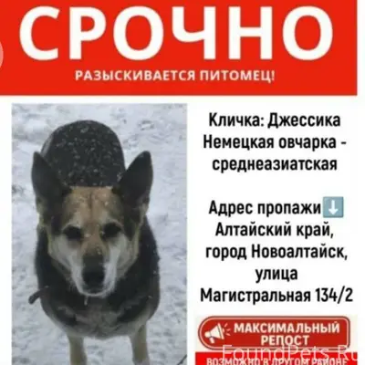 ‼️‼️‼️Внимание ,в районе бажов...