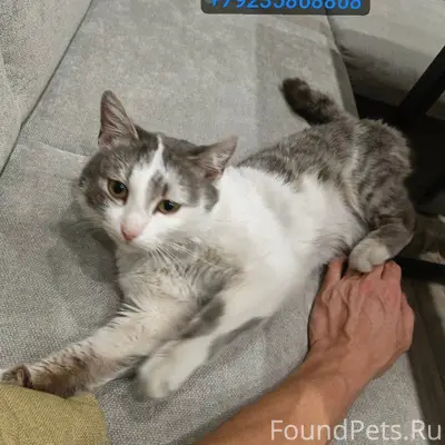 Всем доброго времени!!! Помоги...