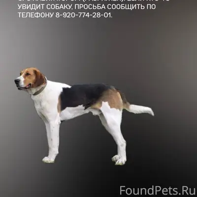 15.01.2026 в районе деревни...