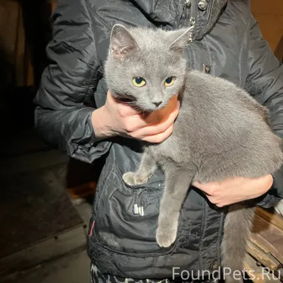 15.01. в подвале на 165...