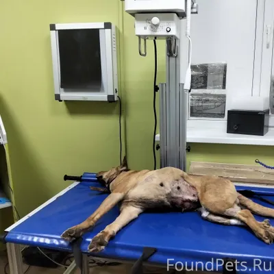 ❗️❗️❗️ВНИМАНИЕ❗️❗️❗️ ВАЖНАЯ ИН...