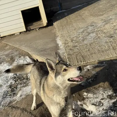 Добрый день, сегодня прибилась...