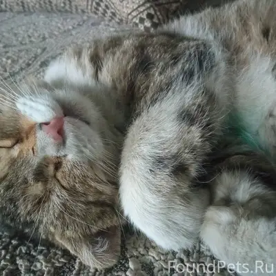 Здравствуйте, 11.01.26 числа п...