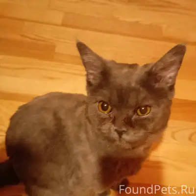 Здравствуйте! Сегодня утром у ...