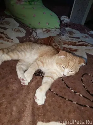 В районе улицы 2 Северная найд...