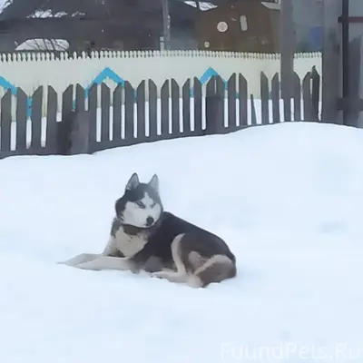❗❗Пожалуйста помогите!❗ Пропал...