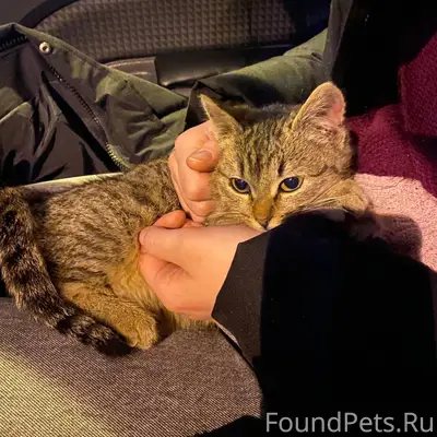 Добрый день всем! Возле «Пятёр...