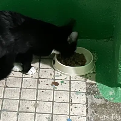 На улице Ленина 65 в 3...