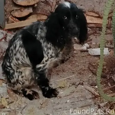 Добрый вечер! Вчера в районе к...