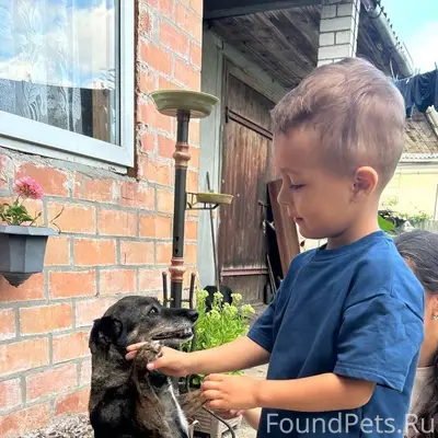 Здравствуйте, 1 января пропала...