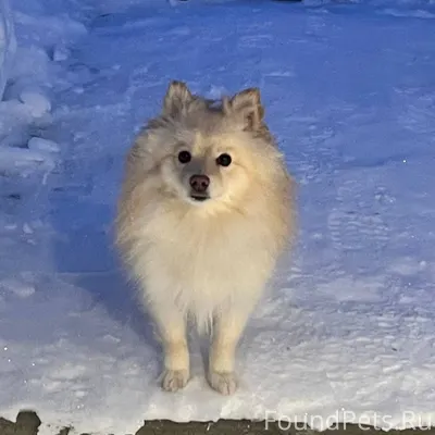 #Калуга район Кубяка, новая шк...