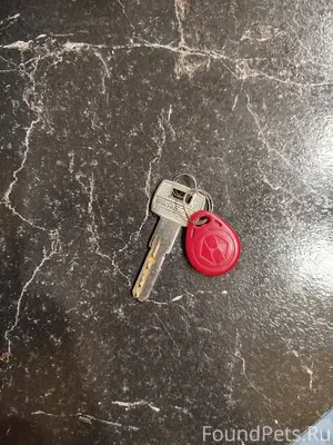 "Бюро находок" (фото 1) Найден...