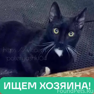 Саратов, в районе СХИ 15.01...